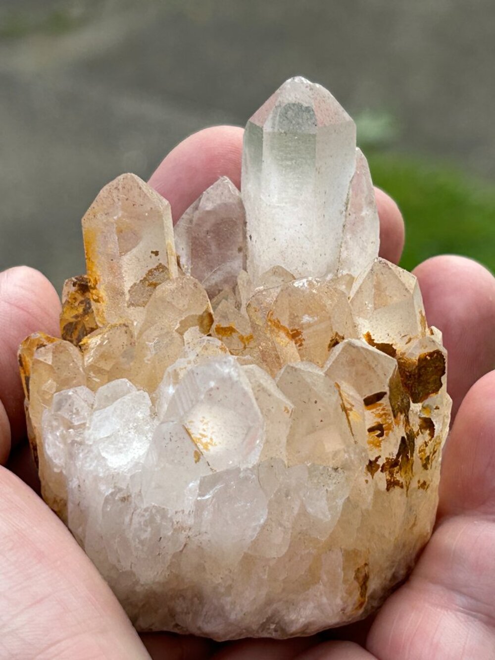 Natural Quartz Crystal Cluster – Golden Iron-Stained Points